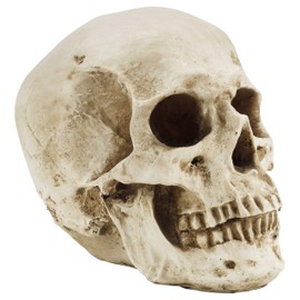 Kurtzy Skull Decoration Gothic Decorative Human Skull Model L 12 x W 17 x H 14.5 cm - Realistic Resin Bone Decoration Skull Anatomy - Skull Decoration Large for Medical Teaching and Mexican Decoration