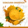 Suplemento Cúrcuma Orgánica 180 cápsulas de 500 mg 100% Natural