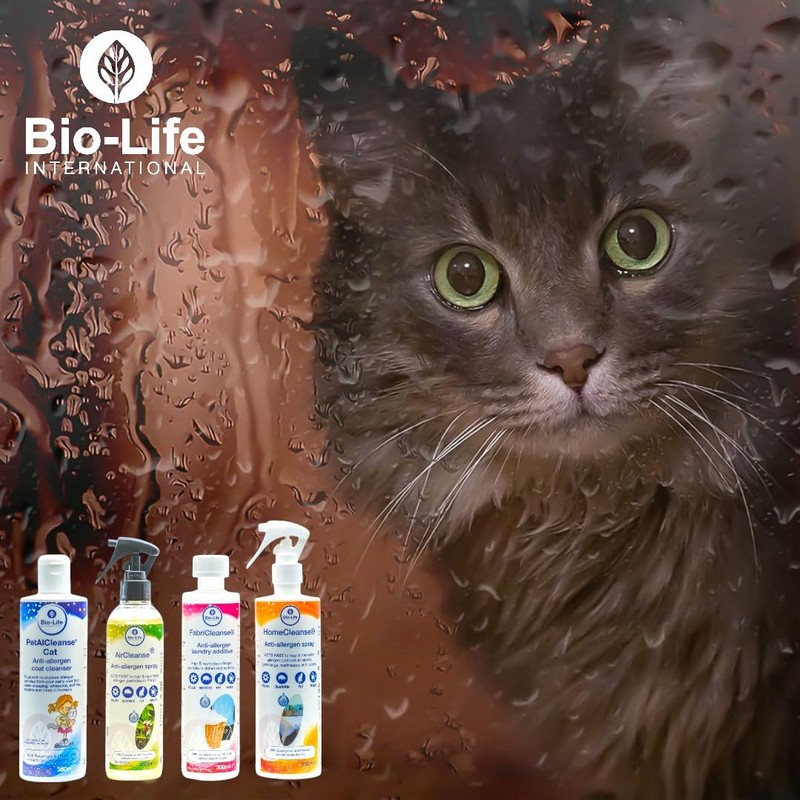 PetalCleanse Katzen- und Kleintier-Behandlung, 350 ml