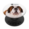 AKC Saint Bernard Photo PopSocket