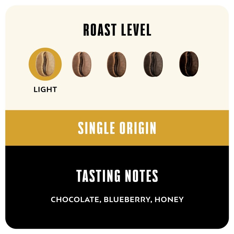 BLK & Bold Coffee-ish DECAF Ground Coffee, Premium Medium Roast,