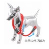 WonderPawz Slip Leash for Large Dogs, Chalk Leash, Pull Prevention