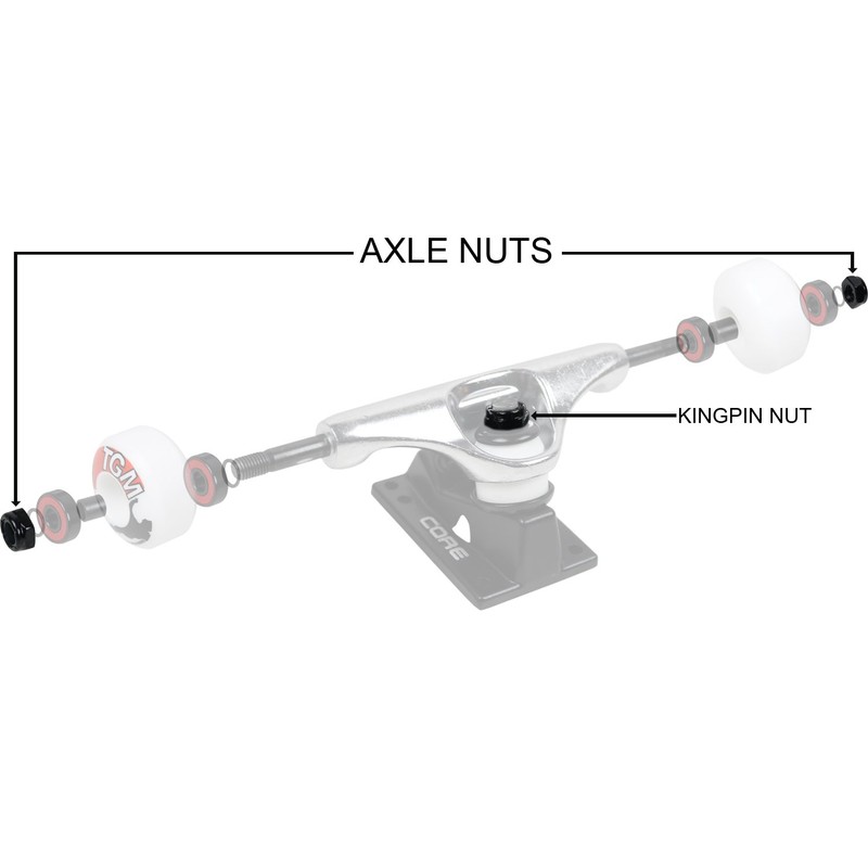Dimebag Axle Nuts and Kingpin Nuts for Skateboard and Longboard