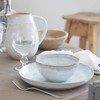 Costa Nova Ceramic Stoneware 5-Piece Place Setting Service for 1