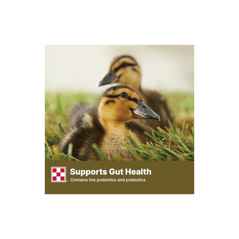 Purina Duck Feed for All Life-Stages, Nutritionally Complete (10 lbs)