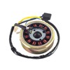 Magneto Stator with Flywheel Rotor Kit 12 Coil 5 Wire