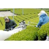 Mother's Day 2023 New Tea Gift Shizuoka Tea (Deep Steamed