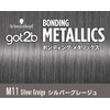 [got2b] Bonding Metallics Hair Color Silver Greige (Bleach On)