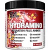 EVLUTIONNUTRITION Hydra Amino Fruit Punch, 246g, 1 piece / EVLUTIONNUTRITION 하이드라아미노 프루트펀치, 246g, 1개
