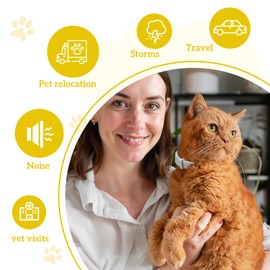 Gikool 4-Pack Cat Calming Collar, Breakaway Cat Collar for Kittens to Large Cats, 4-Week Long Lasting, for Cat Anxiety Relief, Ideal for Indoor Cats(Grey)