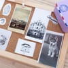 Phomemo White Paper for M02 M02PRO M02S T02 M02X M02L