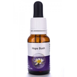 Living Essences Hops Bush 15ml