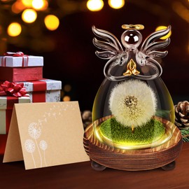 Geschenke für Frauen,LED Wunscherfüller,Geburtstagsgeschenk für Frauen,Abschiedsgeschenk Kollegen Frauen,Pusteblume im Glas Geschenke für Mama,Valentinstag, Hochzeit, Muttertag,Weihnachten Geschenke