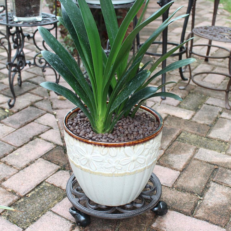 Sungmor Heavy Duty Cast Iron Plant Caddy,11" Round Potted Plant