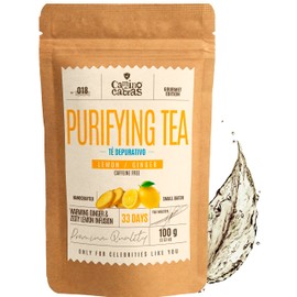 Detox Tea - Lemon & Ginger Tea with Lemongrass, Green Tea, Dandelion, Hibiscus, Nettle, Horsetail Herb - Winter Tea with Antioxidants - Immune System Strengths - Herbal Tea Loose - 100 g