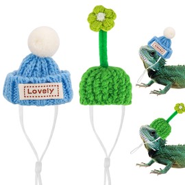 TOCCOOL 2 PCS Mini Pet Iguana Hat, Adjustable Elastic Chin Strap, for Small Pets Such as Lizards, Hamsters, Snakes, Birds (Blue & Green)