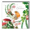 Christmas card pack - Pack of 6 Robin Christmas Cards