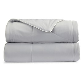 Springtree Home Luxury Viscose from Bamboo Blanket & Comforter | Viscose from Bamboo Twin Size Blanket- 60" x 90" | Cooling Blanket & Comforter | Breathable & Lightweight | Twin - Harbor Grey