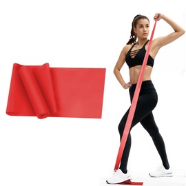 Resistance Bands for Women & Men, Strength Training, Yoga & Home Workouts, Latex-Free Elastic Exercise Bands in 6 Colors (Red)