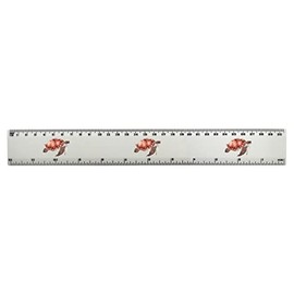 'Turtle' 30cm (12 Inch) White Plastic Ruler (RL00057103)