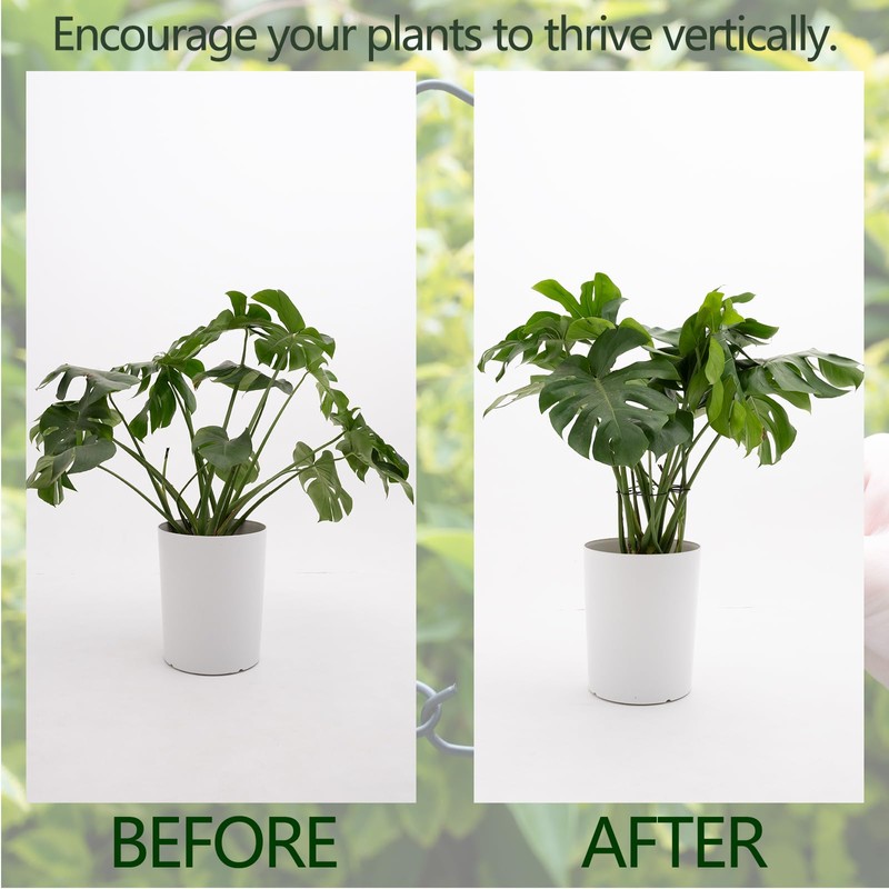 Yohsnor 5PCS Monstera Plant Stem Support - 11 * 9.4