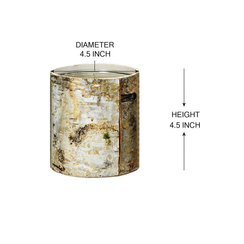 Serene Spaces Living 4.5" White Birch Bark Vase - Size: