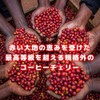 Coffee Raw Beans Red Mountain Kenya Galaxy Coffee (600g)