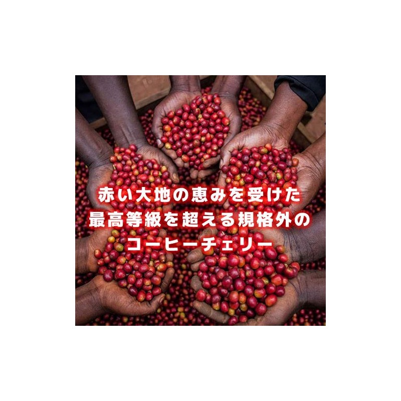 Coffee Raw Beans Red Mountain Kenya Galaxy Coffee (600g)