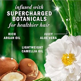 Herbal Essences Champú Con Aceite De Argán De Marruecos, Apto Para Cabello Teñido, Bio:Renew, 590 Ml