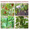 DOEWORKS Cucumber Trellis, 48" High Foldable A Frame Garden Trellis,