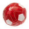 Liverpool FC Miniball