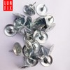 Lun Fix Roofing Nails with Washer 3.0 x 30 mm