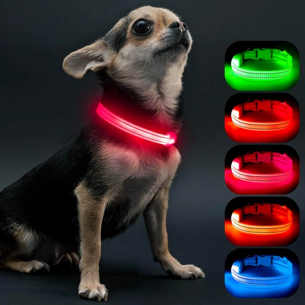 Visinite Luminous Dog Collar, Waterproof, Adjustable, USB Rechargeable LED Dog
