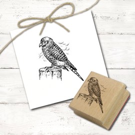Dekolando Motif Stamp Kestrel on Trunk – Stamp Falcon Bird of Prey Wooden Stamp – Imprint 48 x 48 mm
