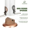 Kingsyard Upgraded Bluebird Feeder for Outdoors Hanging, Metal Mealworm Tube