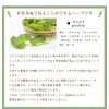Gotu Cola Gotu Kola Tea Gotu Kola Tea Gotu Kola