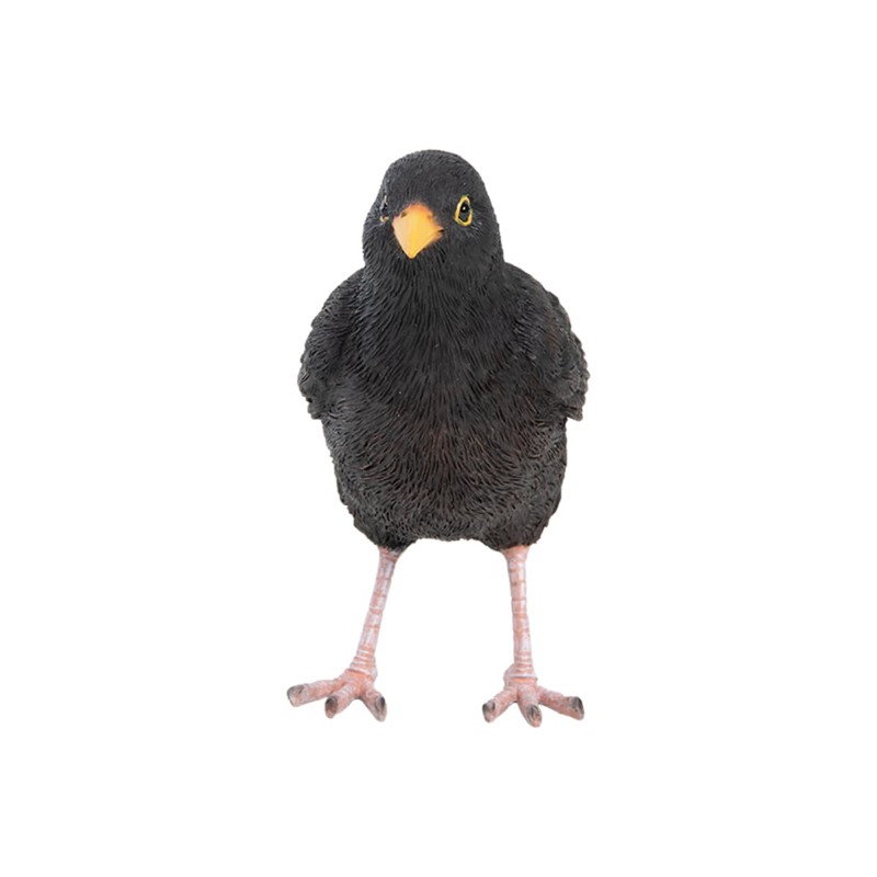 Pflanzen Kölle Iron Blackbird, Black, Approx. 17 x 6 x