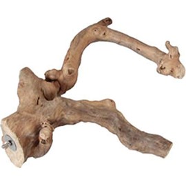 A&E Cage Co. Java Wood Multi Branch Perch - Large - 26 in. x 2.4 in.