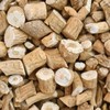 Isatis Root (板蓝根) | Ban Lan Gen | Isatis Indigotica