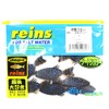 Reins (Rain) Worm Root Fish 2 Flat SW # B38