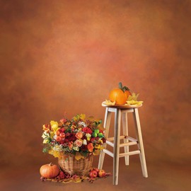 8x10ft Dark Orange Portrait Backdrop Abstract Headshot Backdrops for Photography Professional Studio Photoshoot Backdrop Vintage Brown Photo Backdrops Cloth School Photographic Artistic Background