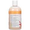 Ginger Lily Farms Botanicals Moisturizing Shampoo for All Hair Types,