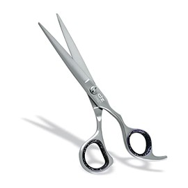 DZ Crane Ergo Design Hairdressing Scissors 6 Inch Stainless Steel (Glossy)