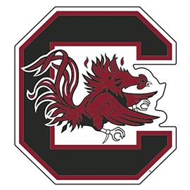 South Carolina Magnet