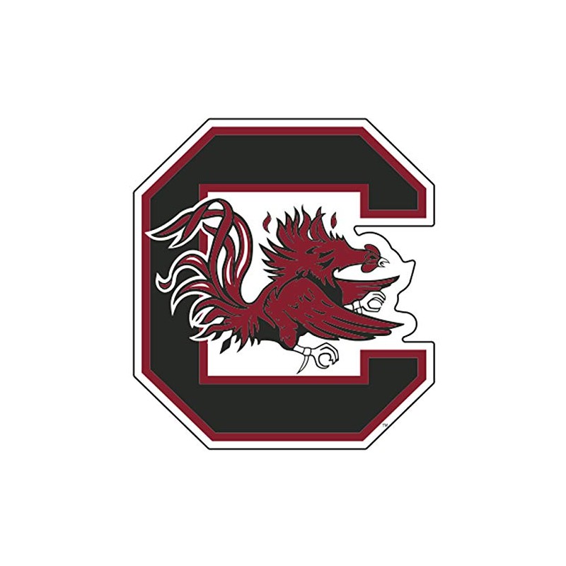 South Carolina Magnet