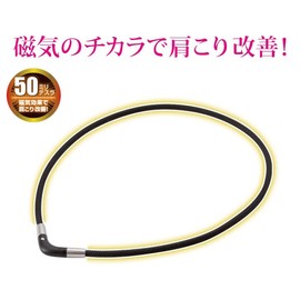 Phiten RAKUWA Magnetic Titanium V - Shaped Necklace, black