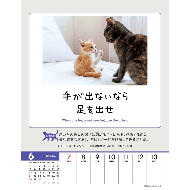 Wing Life is Nyan! CL-384 Tabletop/Wall Hanging, 2026 Calendar, 7.1