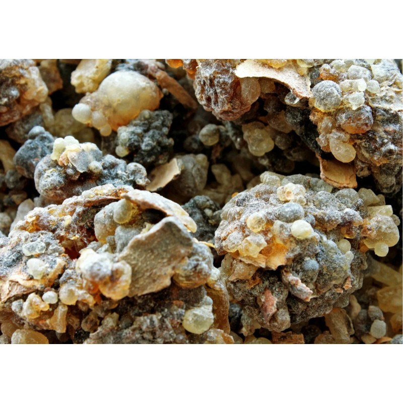 Royal Frankincense Organic Black Hojari Frankincense Oman (Bos. Sacra) (3