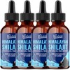 Pure Shilajit Liquid Drops, High Potency Himalayan Shilajit Drops, Enriched