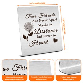 Friends Decor for Friend Friendship Gifts for Women Encouraging Gifts for Besties Friendship Desk Decor Going Away Gift Long Distance Gift for BFF Inspirational Office Decorations Graduation Gift